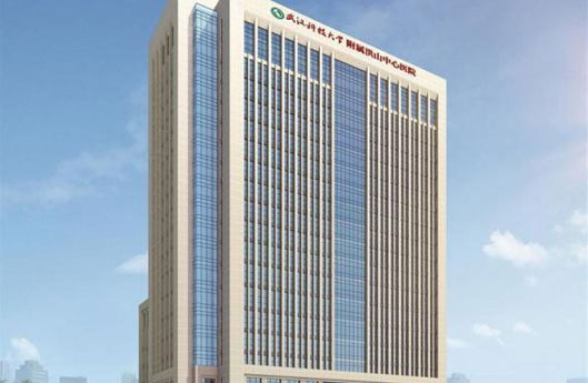 Terminus Group enables smart and sustainable digitalization to Wuhan Hongshan Central Hospital